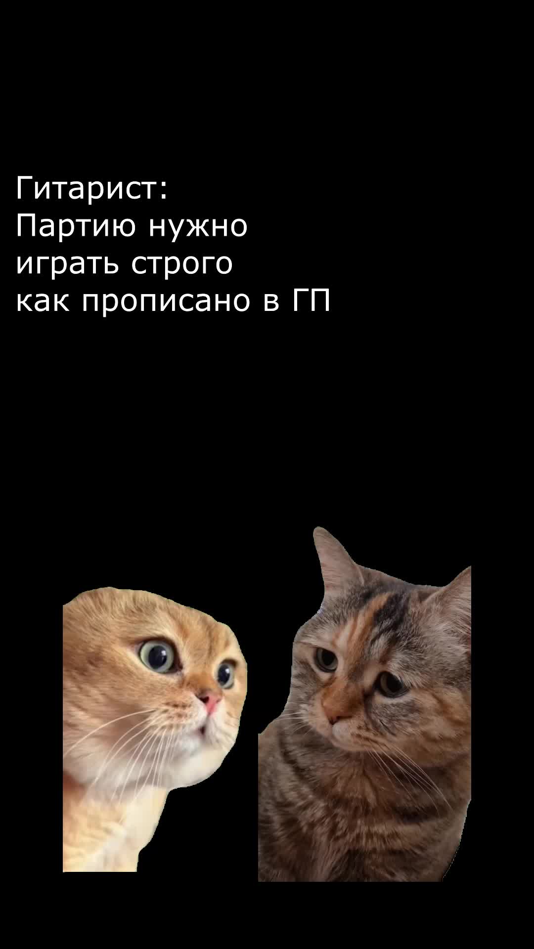 Стих если в доме нет кота. Говорят у кошек нет чувств. Кот плохо писать. Кот плохо писать. Кот плохо писать.