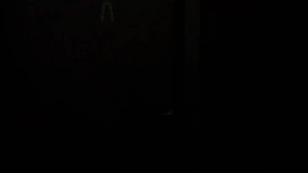 Забытые 22. Губа загадочная машина. Забытые 22. Забытые 22. Забытые 22.