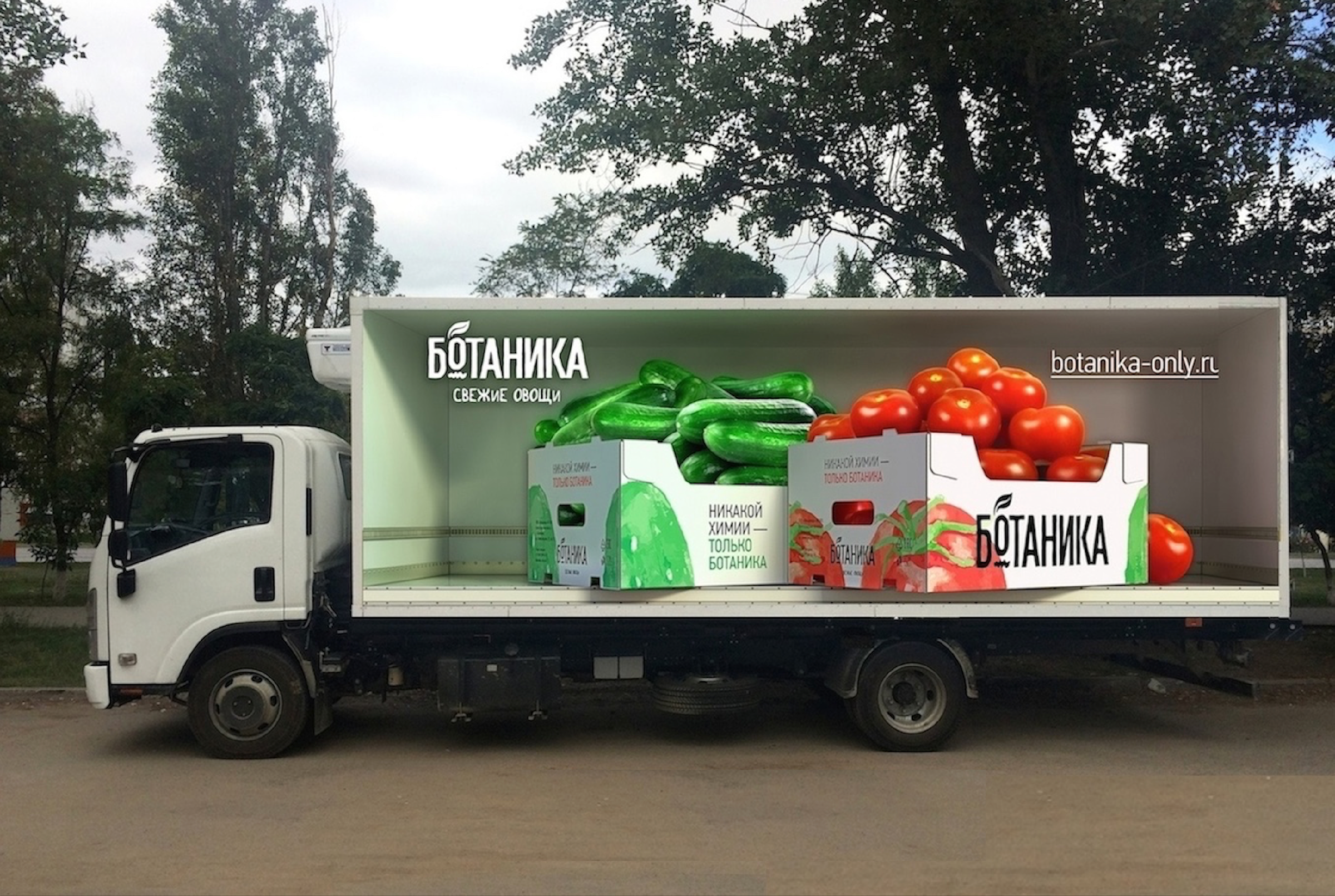 типография марка