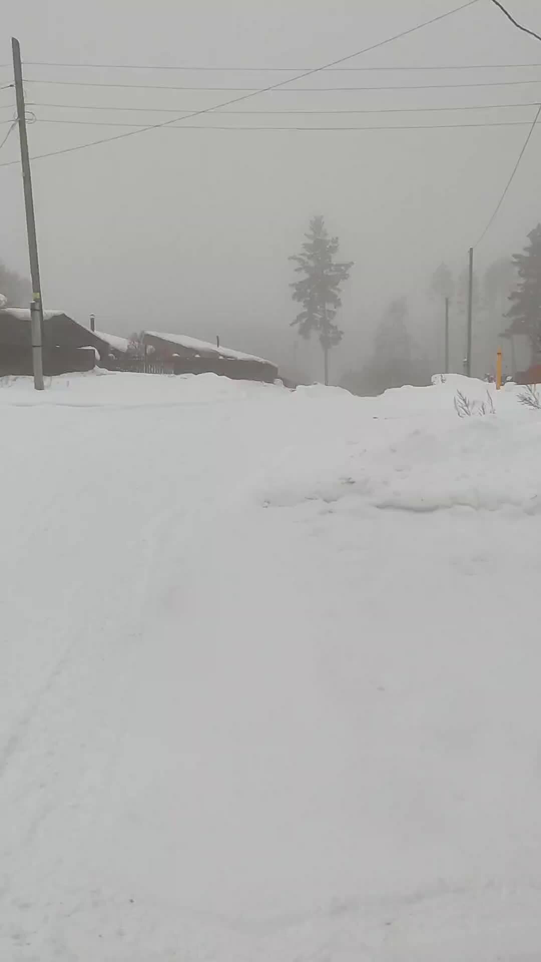 зыкина утро туманное. осенний утренний туман. утро лето кичигино. август туман. зыкина утро туманное.