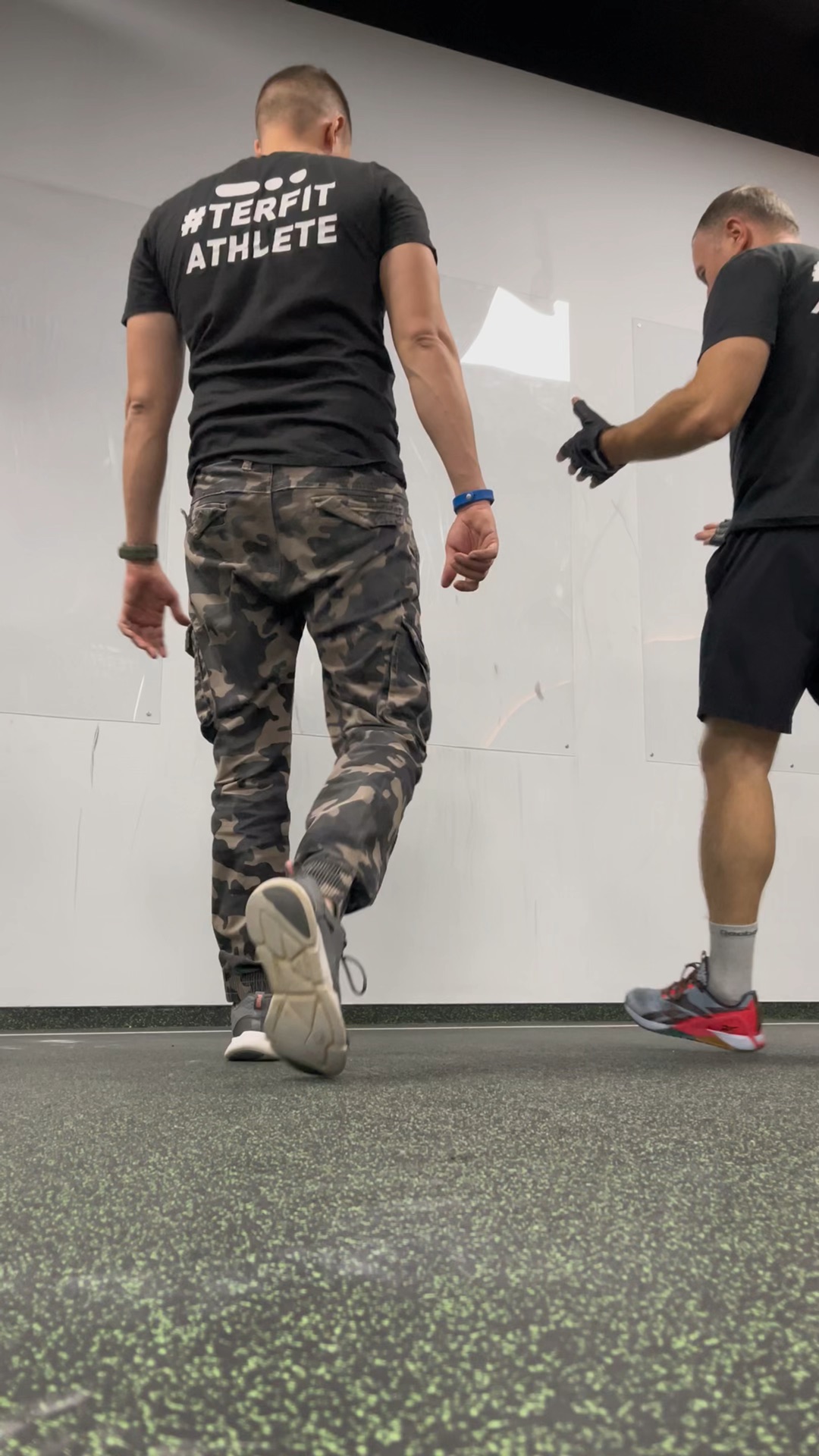 триста тридцать три душа баяна