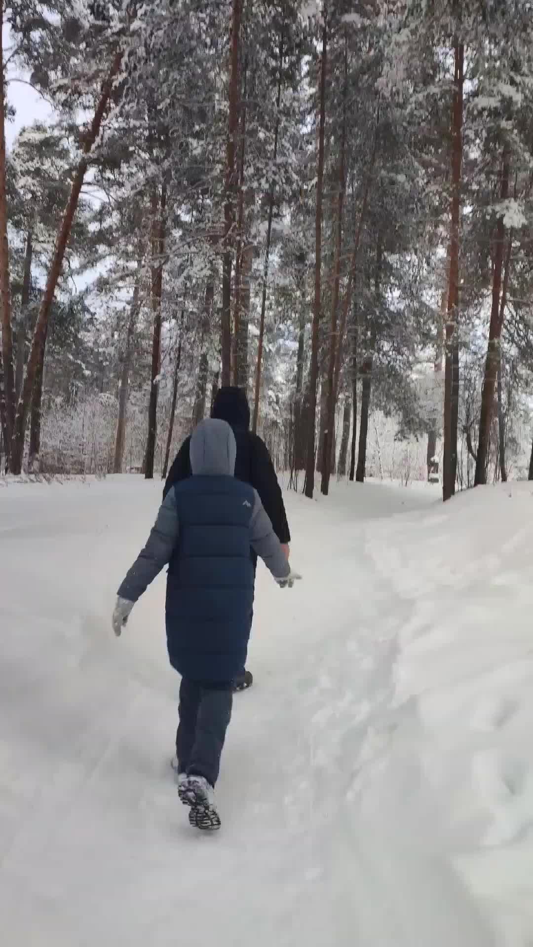 электронный дневник сосновый бор 5 гимназия. гимназия 5 сосновый бор ленинградская область.