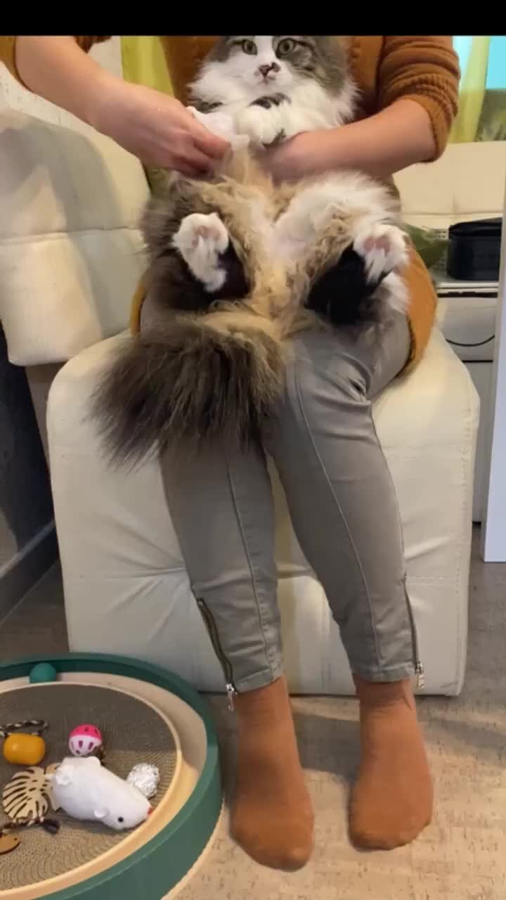 КУЗЯКА | Ух, я тебе покажу! 🥊 | Дзен