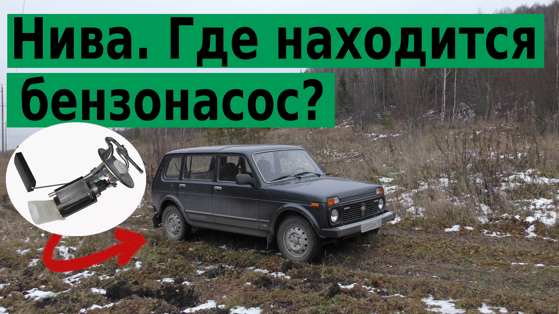 Где находится нива