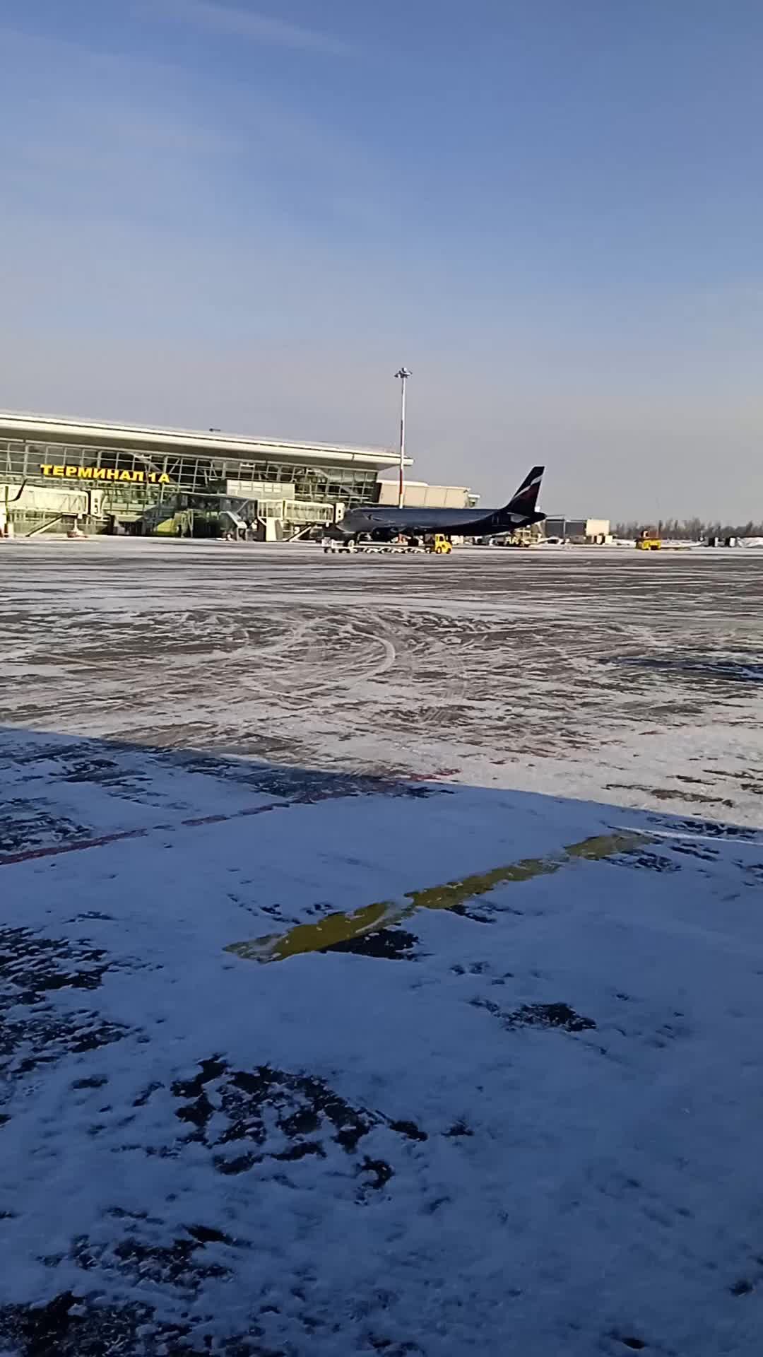 ты даже на расстоянии остаешься. высоцкий подпись вектор. забыть подпись. забыть подпись. анекдоты как искупать кошку.