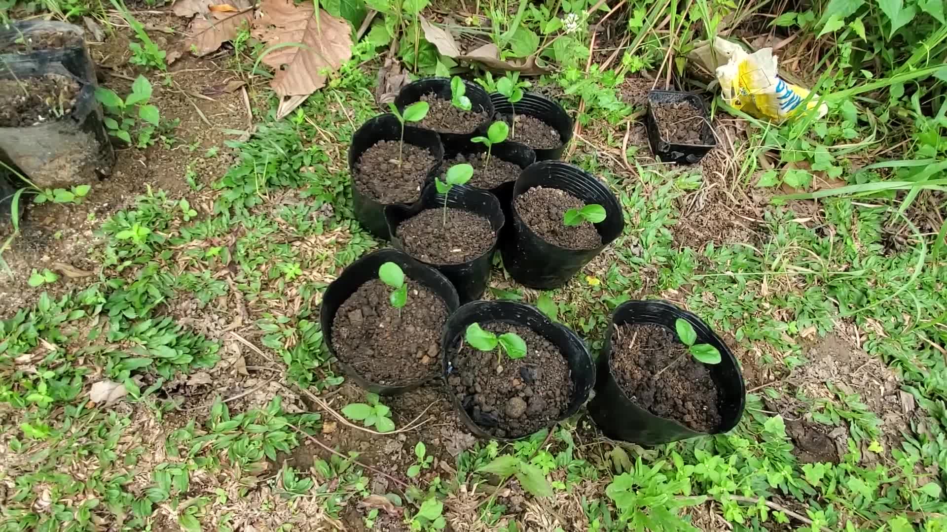 блоггер путники перехожие. и м прянишников калики перехожие. илья муромец и калики перехожие. бессонов калики перехожие. блоггер путники перехожие.