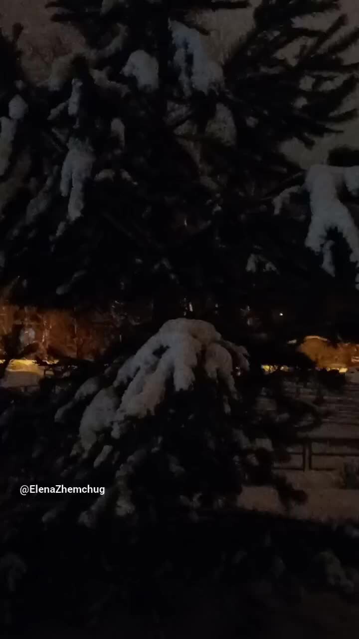 Шарм тревел санкт петербург