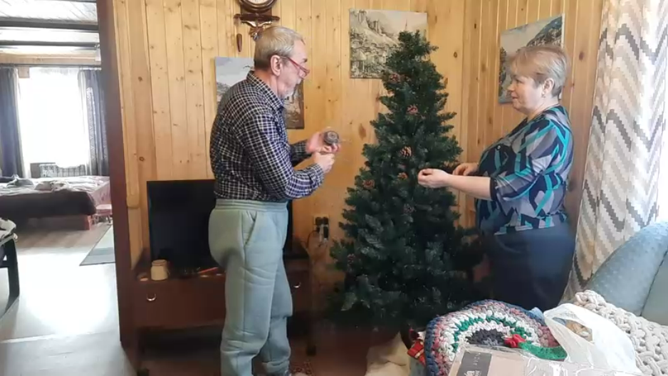 Первая публичная новогодняя елка в россии. Обычай украшать елку. Интересные факты о елке. Елка в череповце. Кто придумал украшать елку.