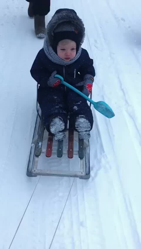 Село ветка