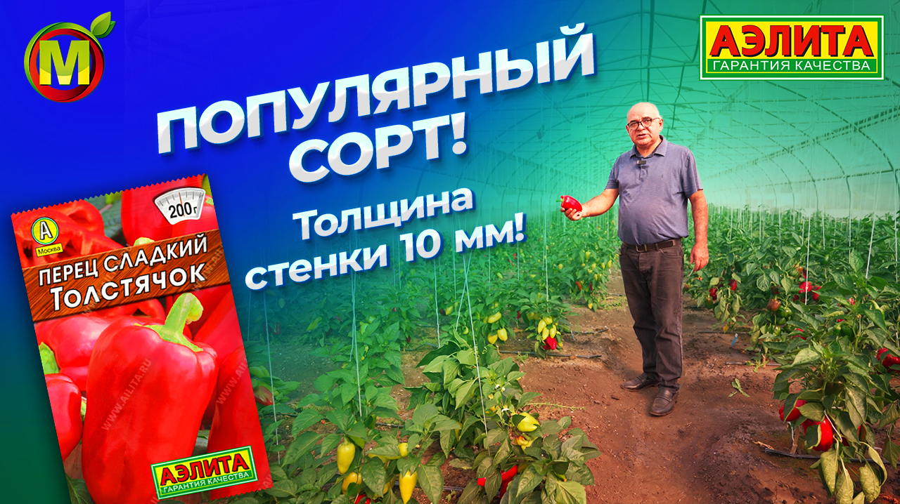 Перцев сайт