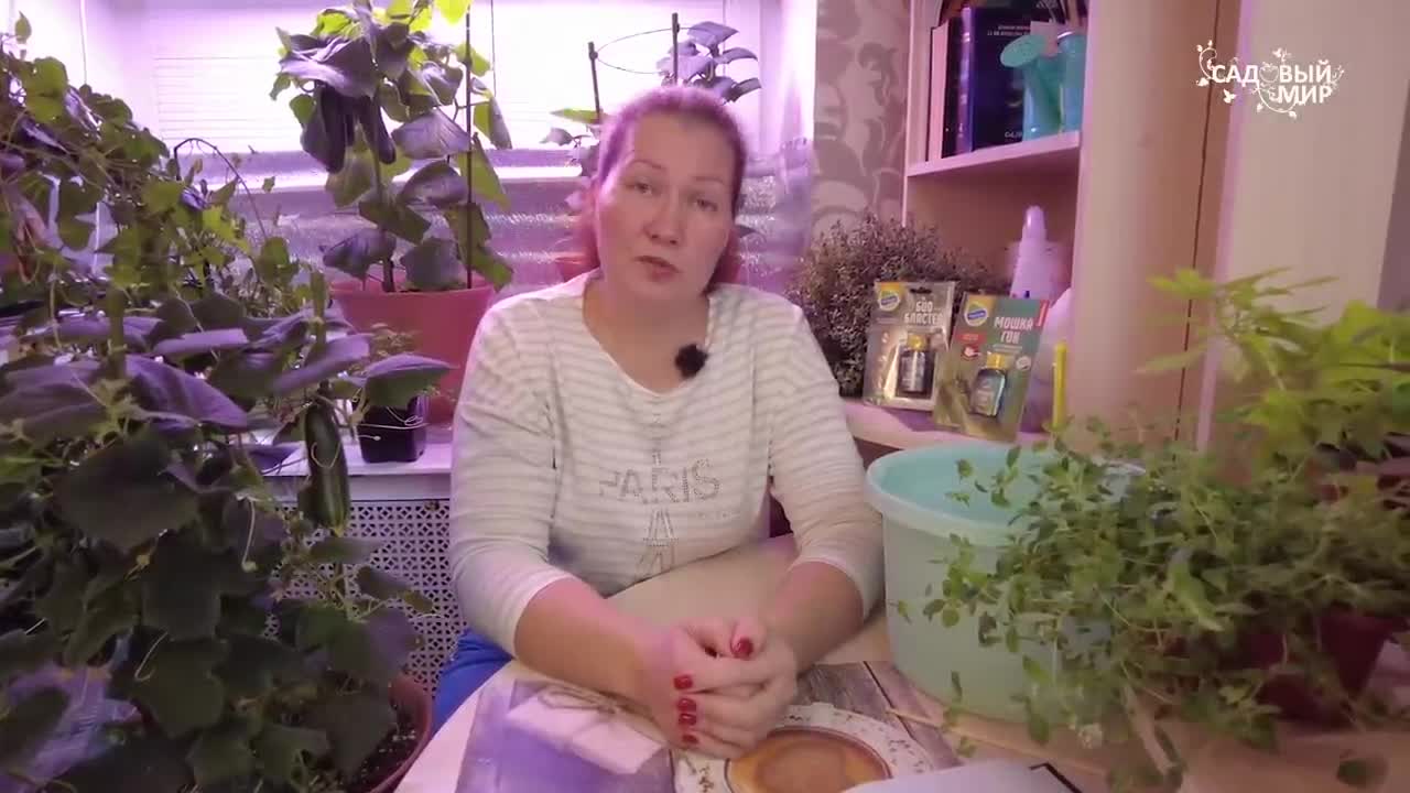 Какое растение вытягивает. Какое растение вытягивает