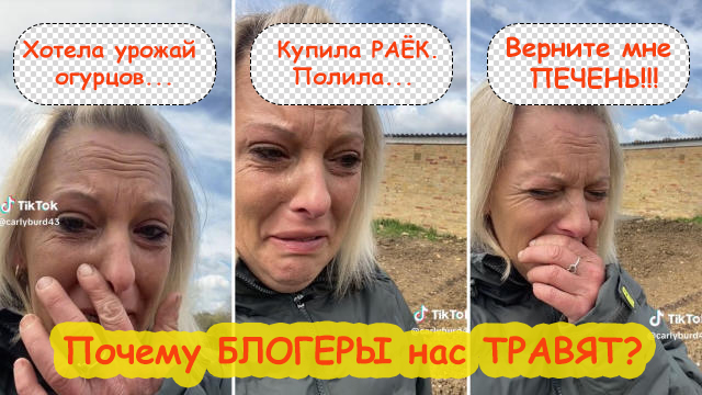 составить текс рассуждение. как оригинально ответить на вопрос. как ответить на вопрос почему. что ответить на вопрос почему я. вопросы определения.