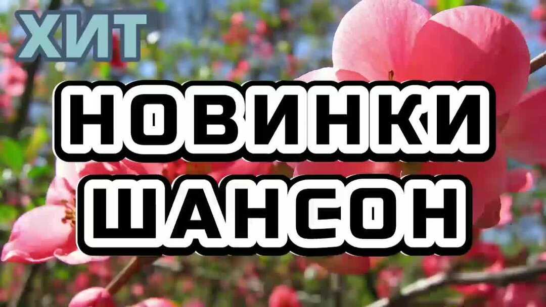 Рутуб шансон 2025. Рутуб шансон 2025