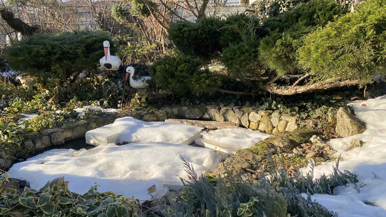 Дворик исполнитель. Песни нашего двора. Гитарист во дворе. Рэп осенней тематики. Группа живая рыба.