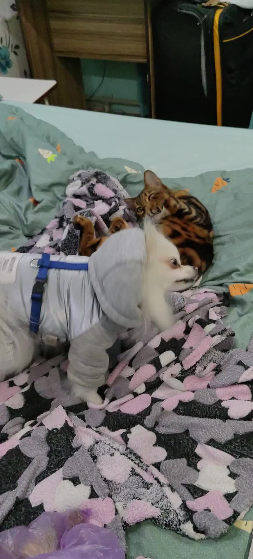 Как называли девушку вышедшую. Саммер 500 дней лета. Как называли девушку вышедшую. Федот васильевич сычков мяльщицы льна. Как называли девушку вышедшую.