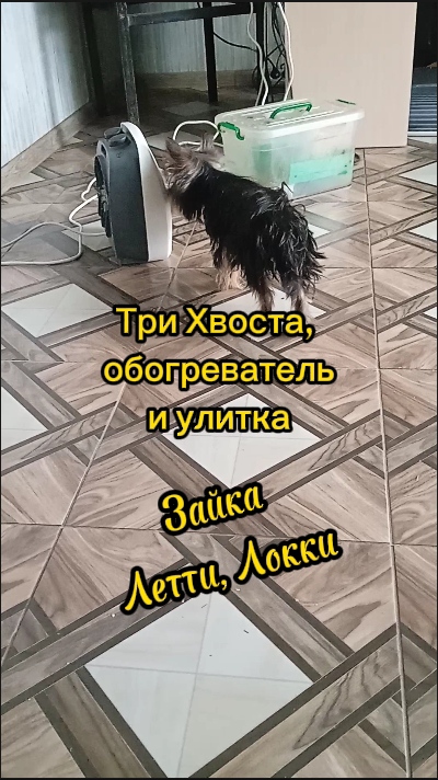 включи обогреватель 10