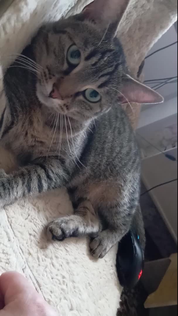 зеркало души. об истинной радости. умейте видеть красоту в простом. развивается на ветру. счастливая женщина.