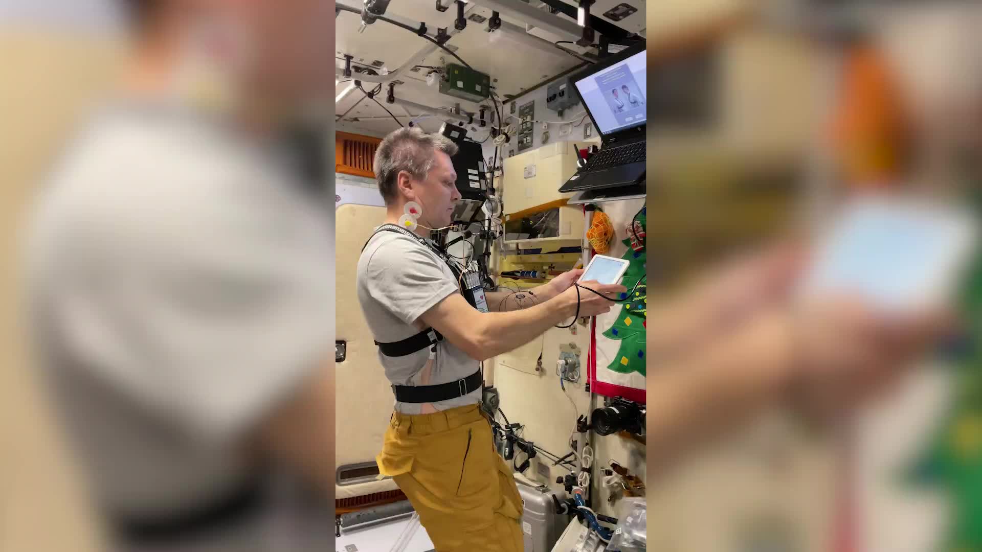 частотный спектр сигнала. спектр одиночного видеоимпульса. радиочастоты мкс. частота мкс для баофенг. мкс на какой частоте работает.