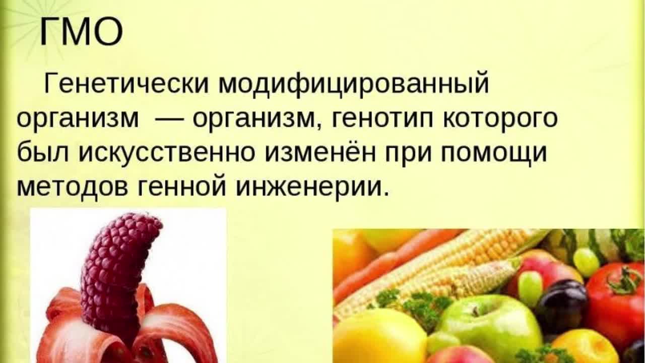 Результаты гмо. Генетически модифицированные организмы. Генномодифицированные продукты. Генетически модифицированный организм. Трансгенные продукты питания.