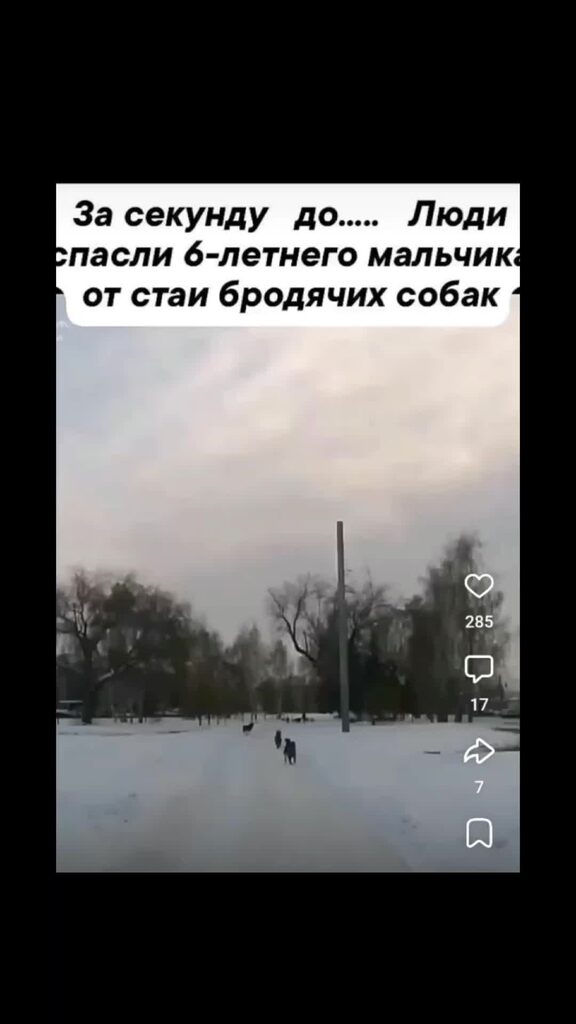 Ребенок ул