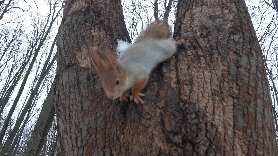 Распродажа все по 1000 рублей. Красивая цифра 200. Распродажа всё по. 350 рублей. 90 рублей картинка.