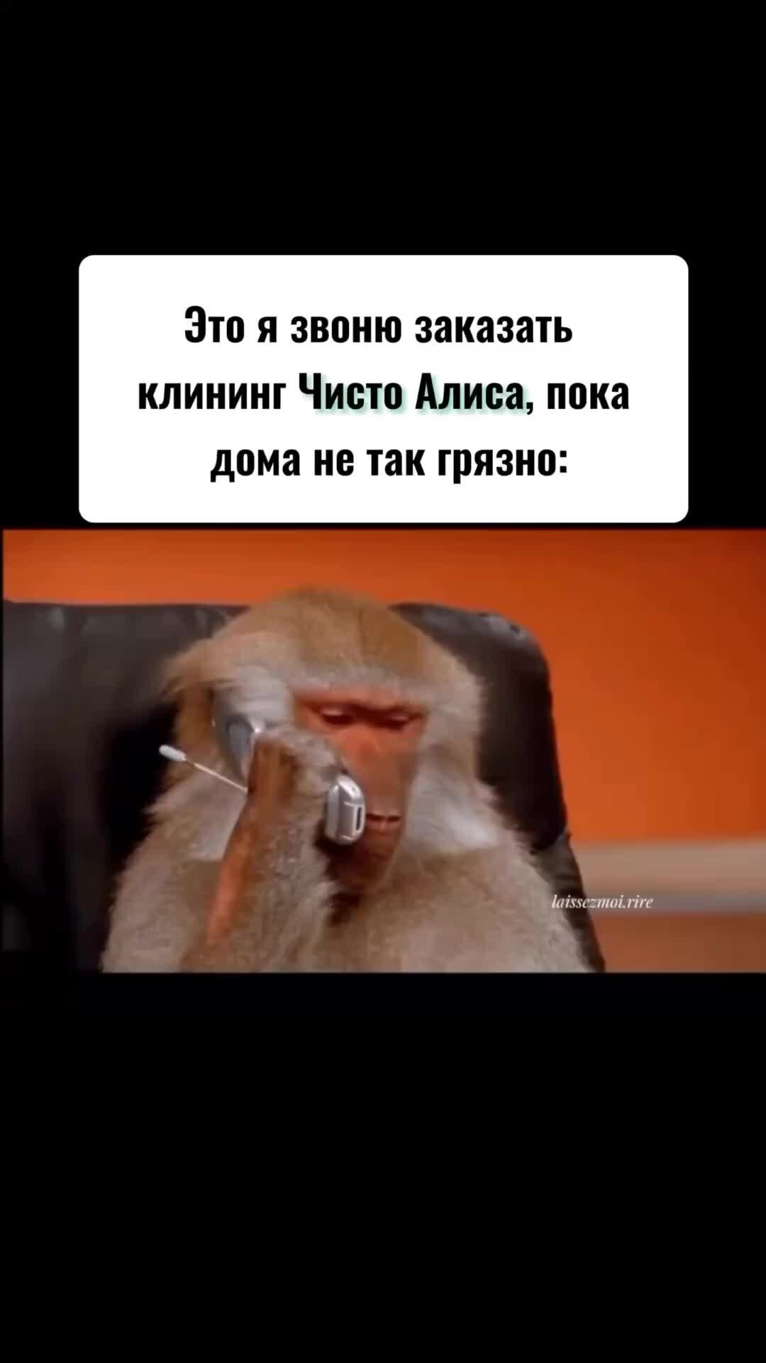 Как запустить уборку с помощью алисы. Как запустить уборку с помощью алисы