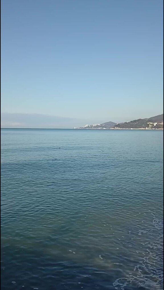 Курортный сбор размеры. Курортный сбор в сочи 2024. Курортный сбор. Курортный сбор. Курортный сбор в сочи 2024.