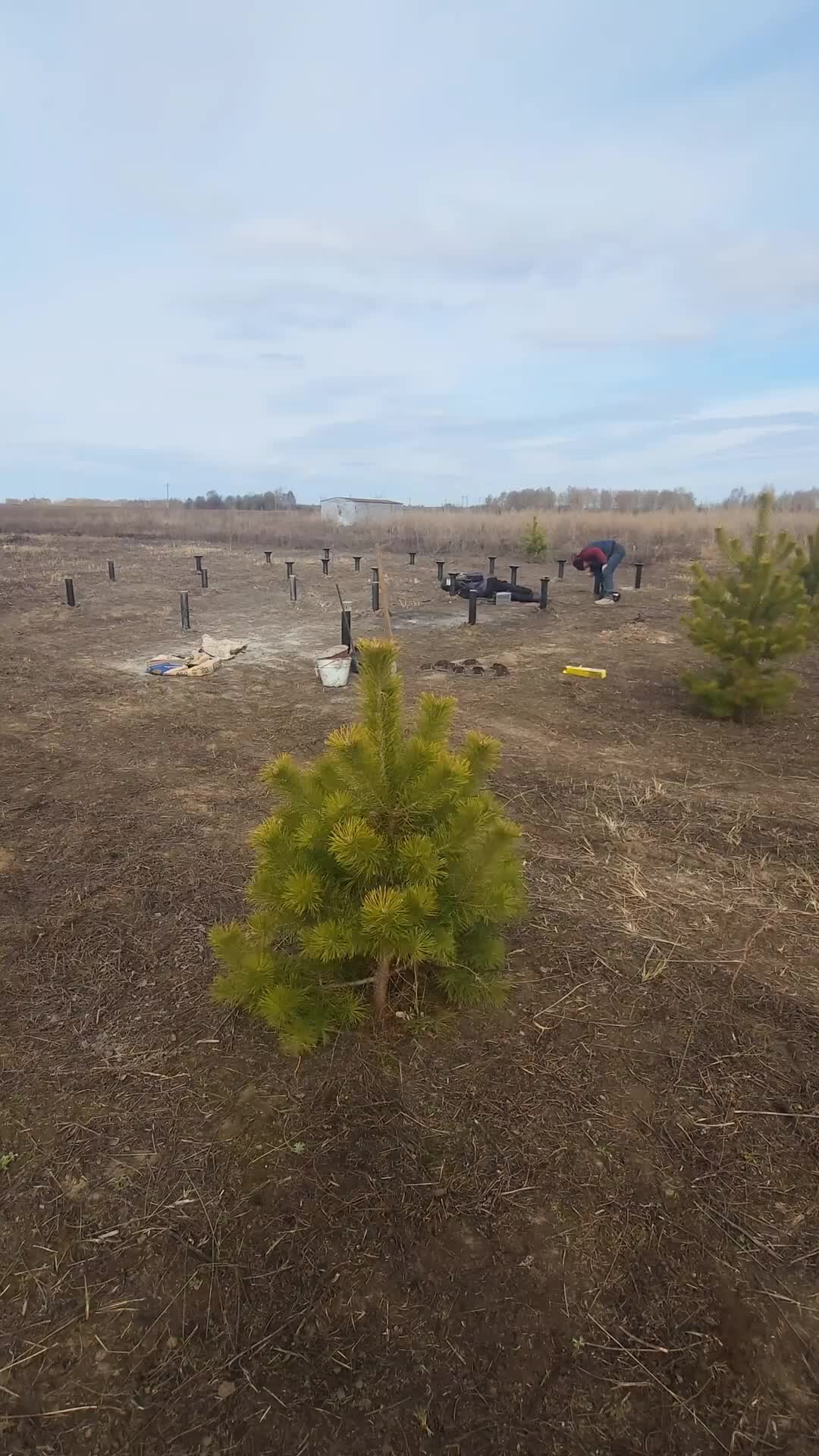 100 Домов | Вышли на новый объект в с. Борки. Здесь будем строить каркасный  дом 6х8 м. Сегодня второй день монтажа свайно-винтового фундамента | Дзен