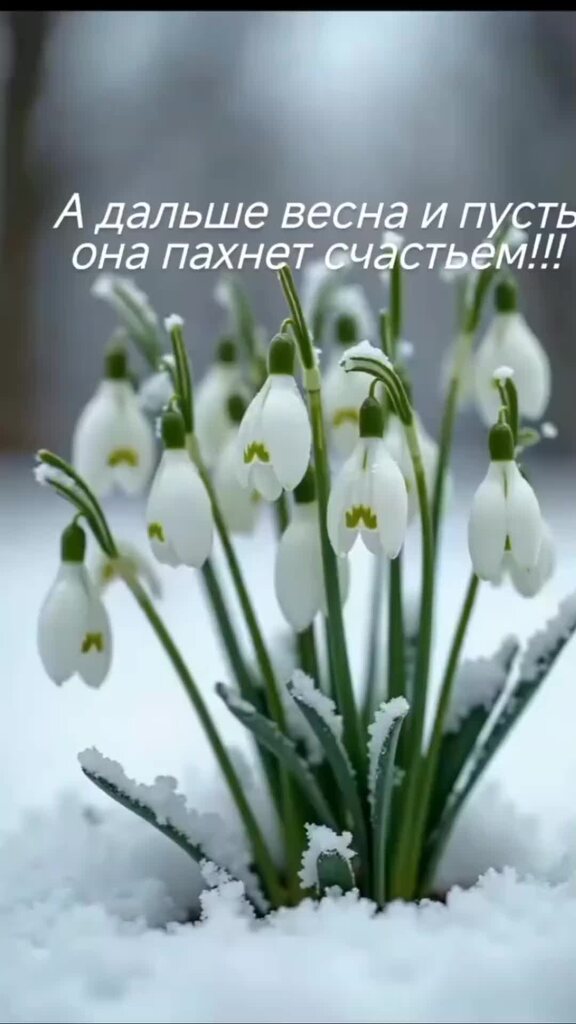 Подписаться на весну. Подписаться на весну