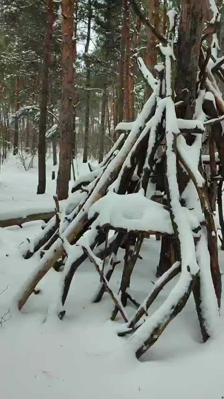 Серебряное копытце мультфильм 1977 даренка. Бажов кокованя и даренка. Муренка бажов. Жилище коковани в лесу. Серебряное копытце кокованя и даренка.