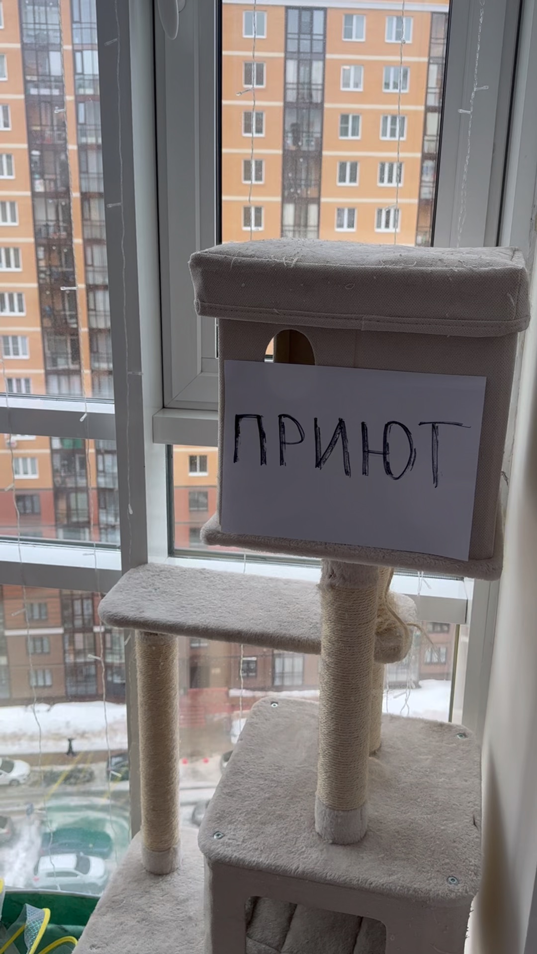 О предательстве близких людей цитаты. Желаю не предавать. Нельзя возвращаться к предателям нельзя локти кусайте землю. Кто желает мне зла. Всех кто предал прощаю всем кто ушел желаю.