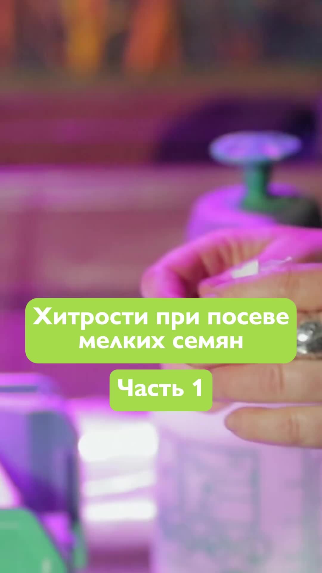 Бобёр | Небольшая хитрость, чтобы не потерять мелкие семена при посеве и  добиться максимальной всхожести 💛 Видео: © программа «Ура Бобру!» /  телеканал «Бобёр» | Дзен