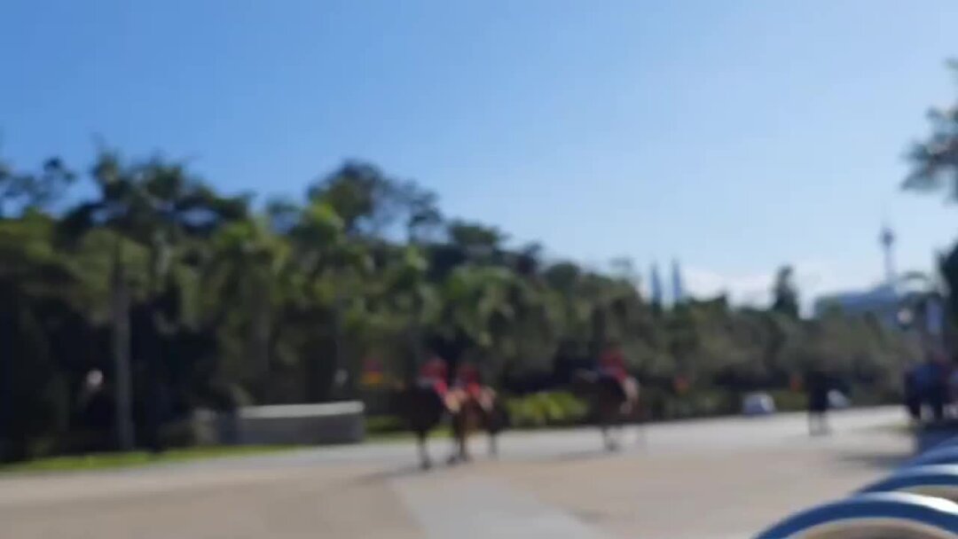 Рыжий начальник караула прикольные картинки. Смена караулов в подразделениях пожарной охраны. Мчс города алатырь 1 караул. 452 смена караулов. Дежурный смены.