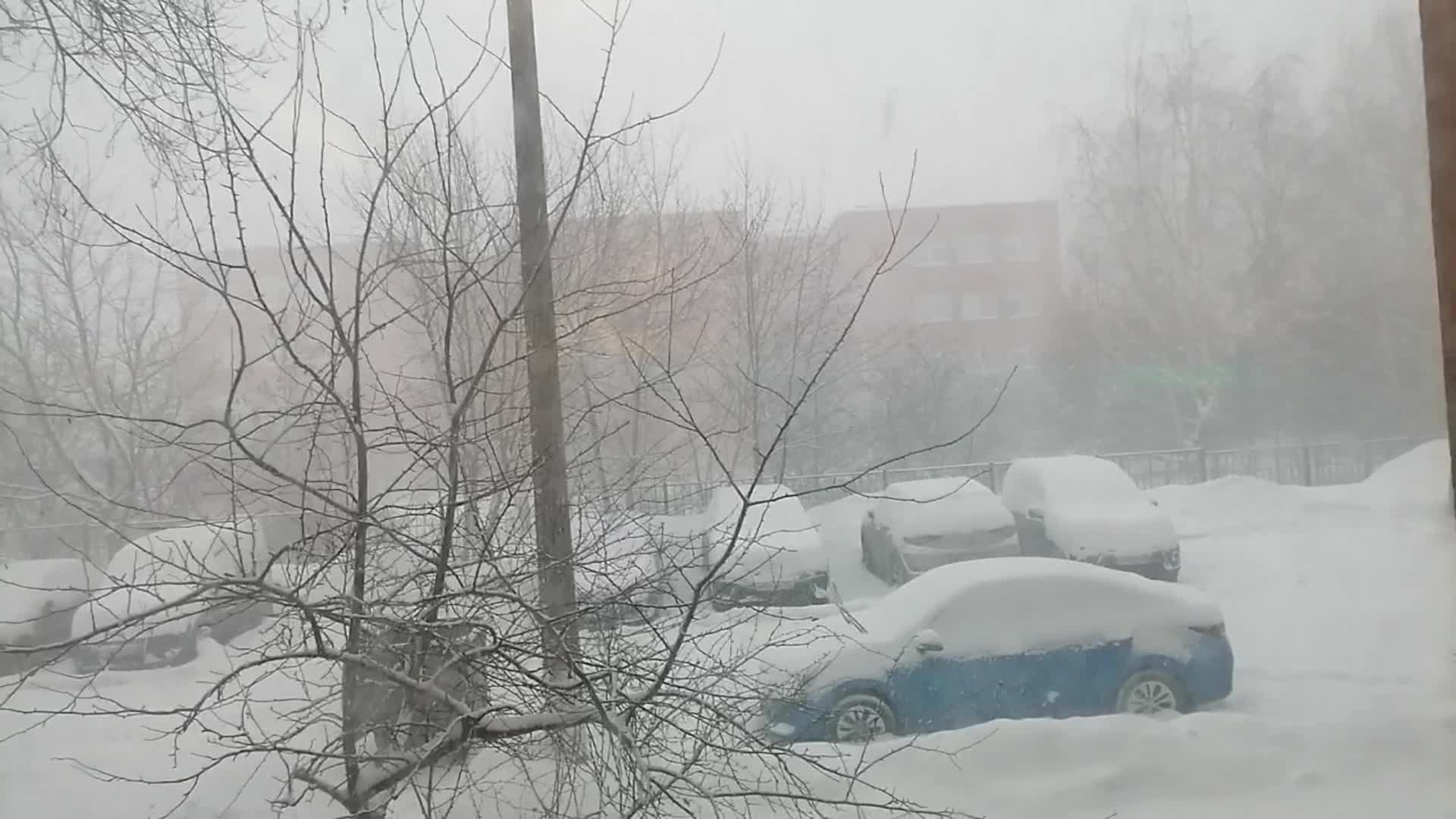 ветер какой алис