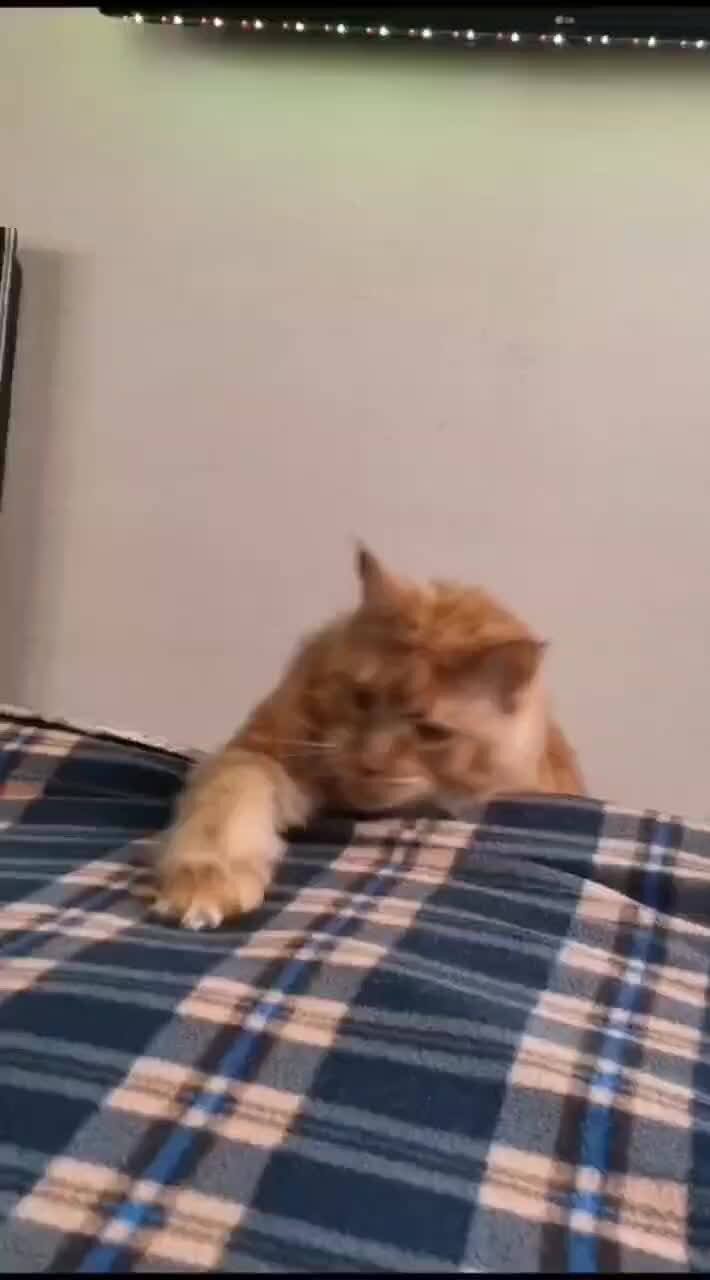 Ложимся спать. Спит комикс. Играть а потом спать. Кот ложится спать. Подросток спит.