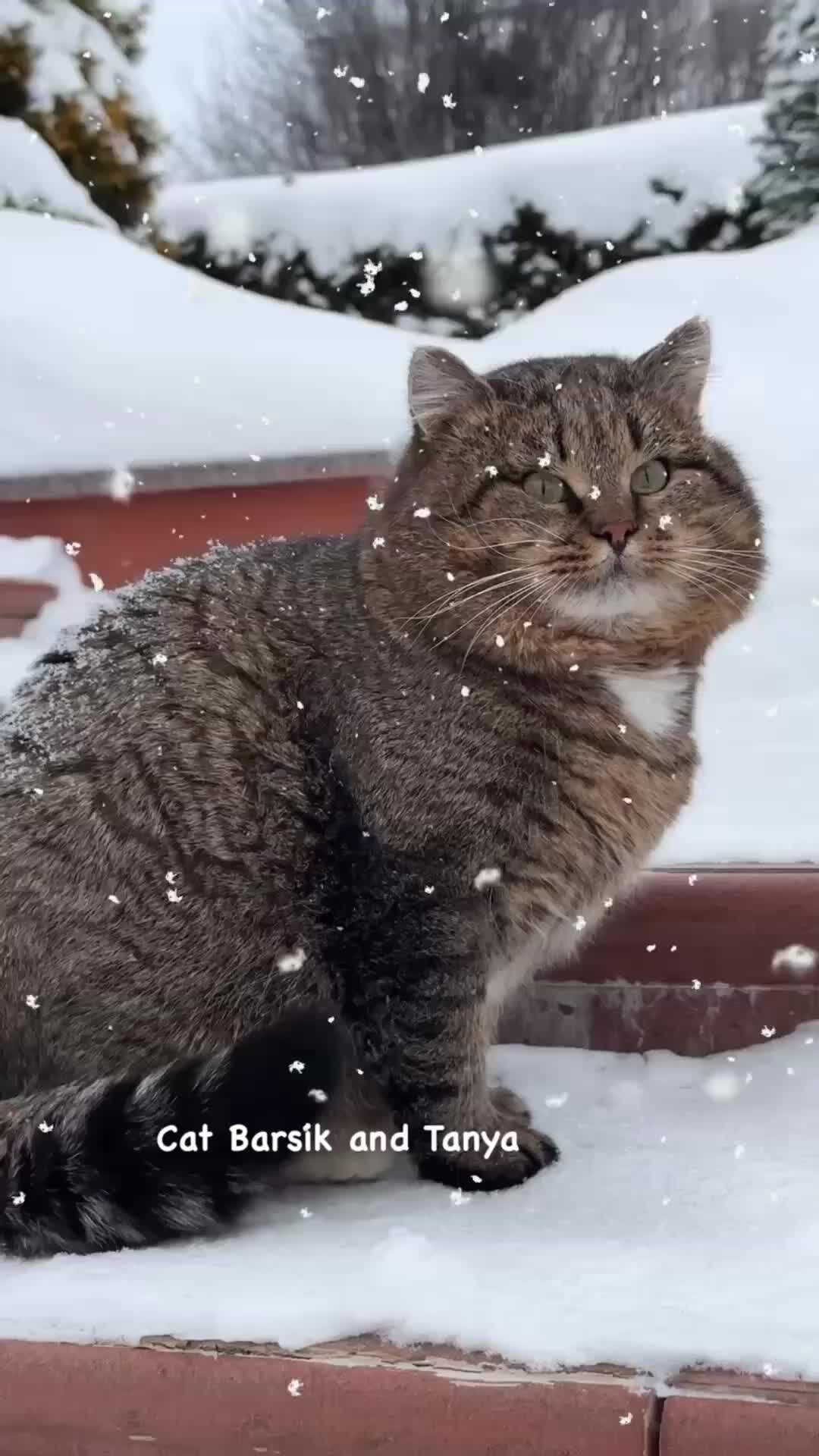 Нового дня
