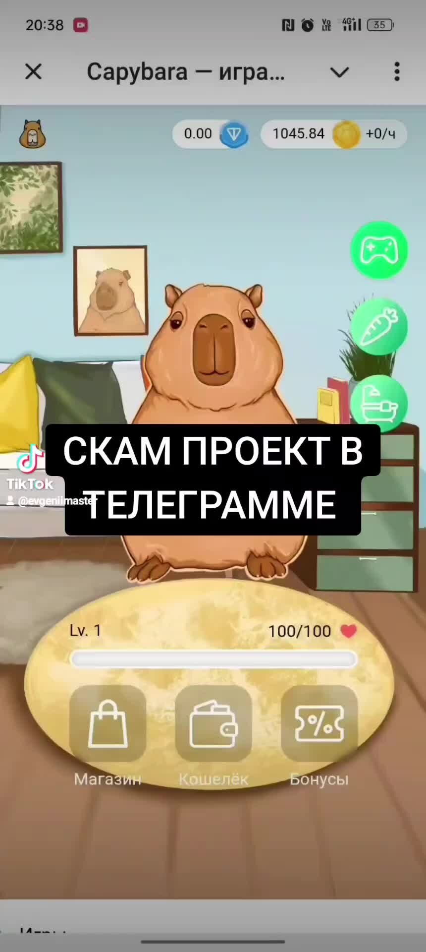 Capybara отзывы игры
