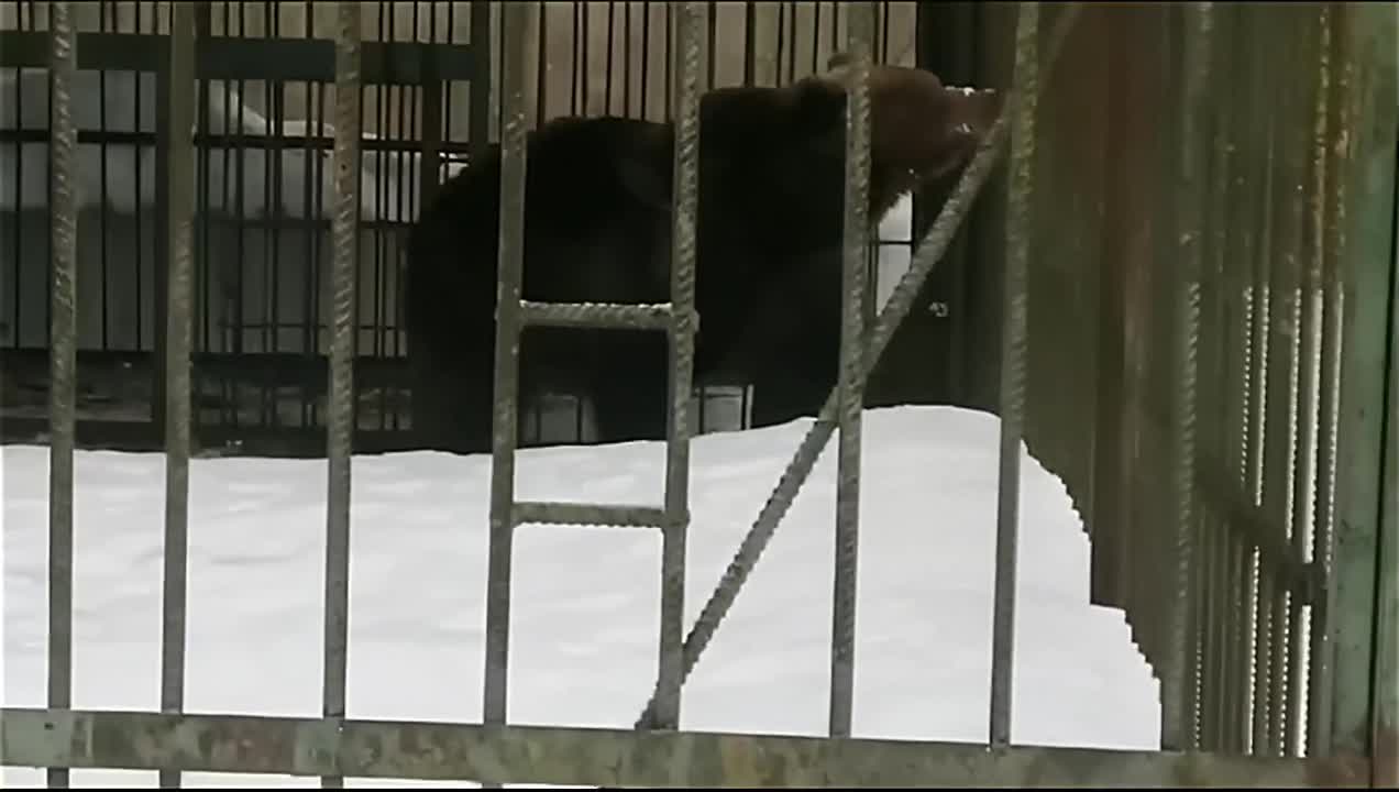 Встреча подруг. Посидели выпили. Нашёл мужик волшебную лампу. Встречаются три подруги анекдот. Подругапргласила в гости.