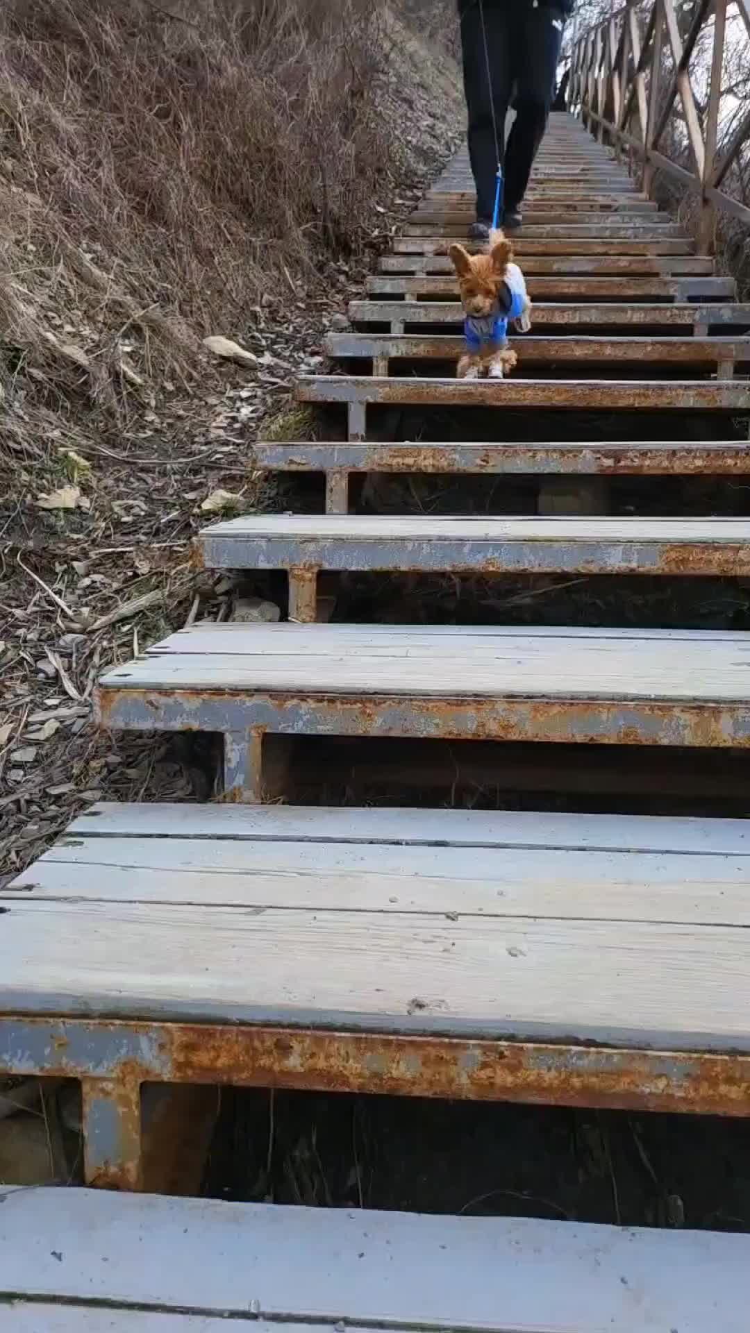 Расправь крылья фильм 2019 актёры. Фразы про крылья. Расправь крылья. Птицы в небе. 2019 год парящего орла.