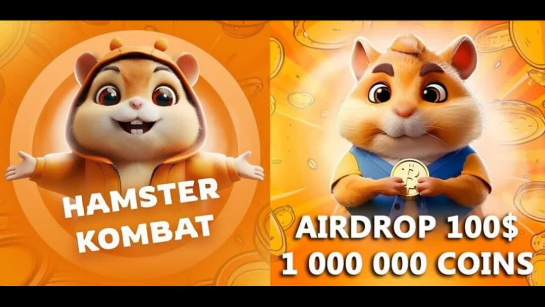 Ddnet hamster combat