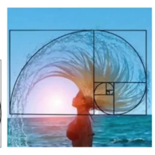 Спираль фибоначчи мона лиза. Золотое сечение 3 5 8. Золотое свечение. Золотое сечение логотип. Золотое сечение.