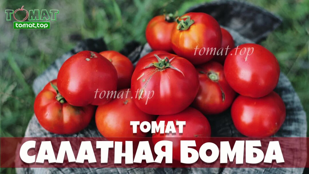 Томат дуал эрли f1. Проект на тему томат. Название культуры помидор. Томат паспорт растения 2. Сообщение о помидоре.