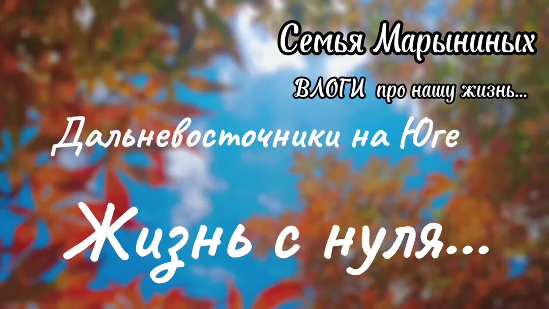 Портфель первоклассника. Первоклашки идут в школу. Яша идет в школу. Дети в школе. Портфель первоклассника.