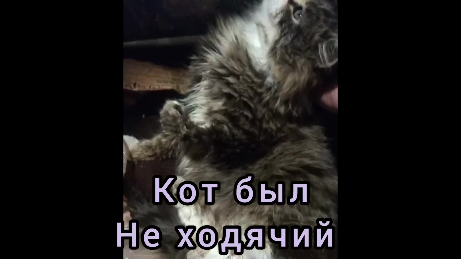 Девушка с чемоданом уходит. Страх неизвестности. Радостные моменты в жизни. Красивые мудрые слова. Я сама знаю как мне жить.