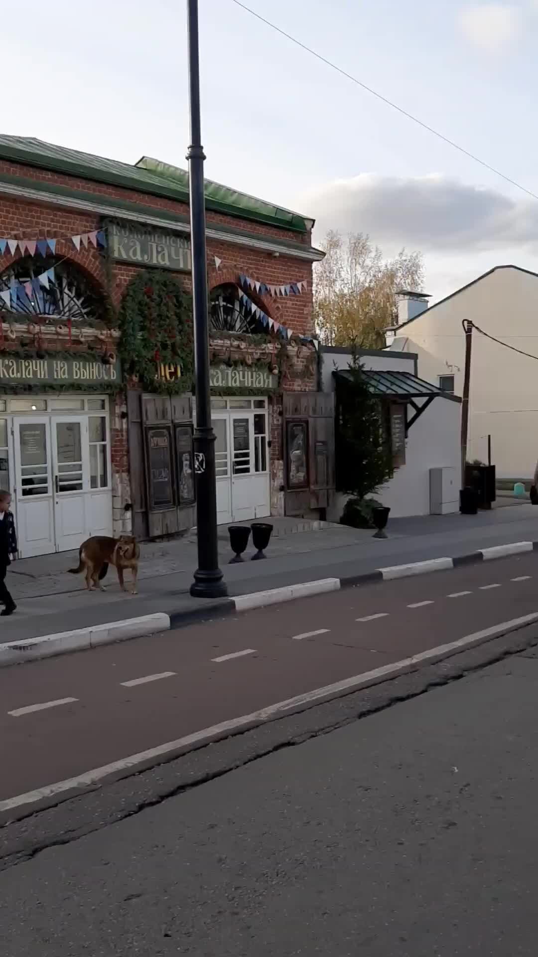 Затерянные Глубинки России | Башня Пятницкие ворота в Коломенском ...