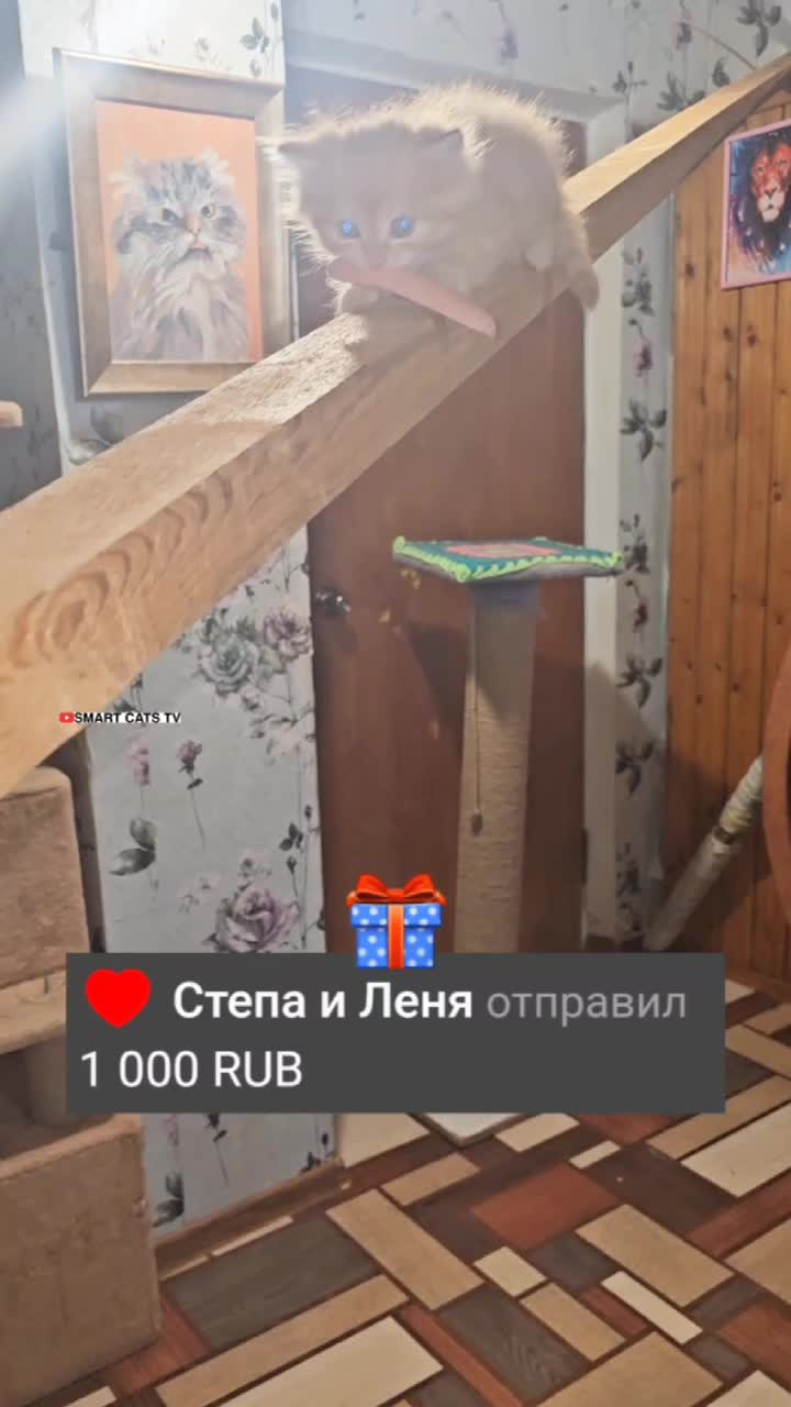 Антон возмищев сериал след. Леня степа. Леня степа. Леня голиков (1926-1943). Леня степа.