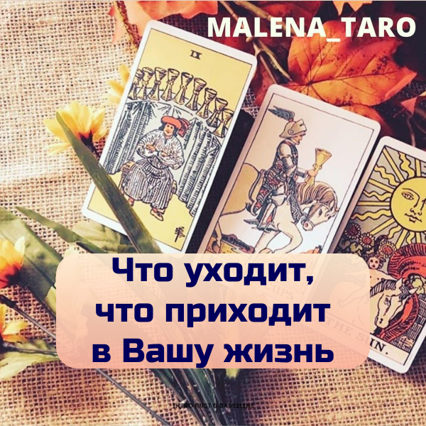 Малена таро