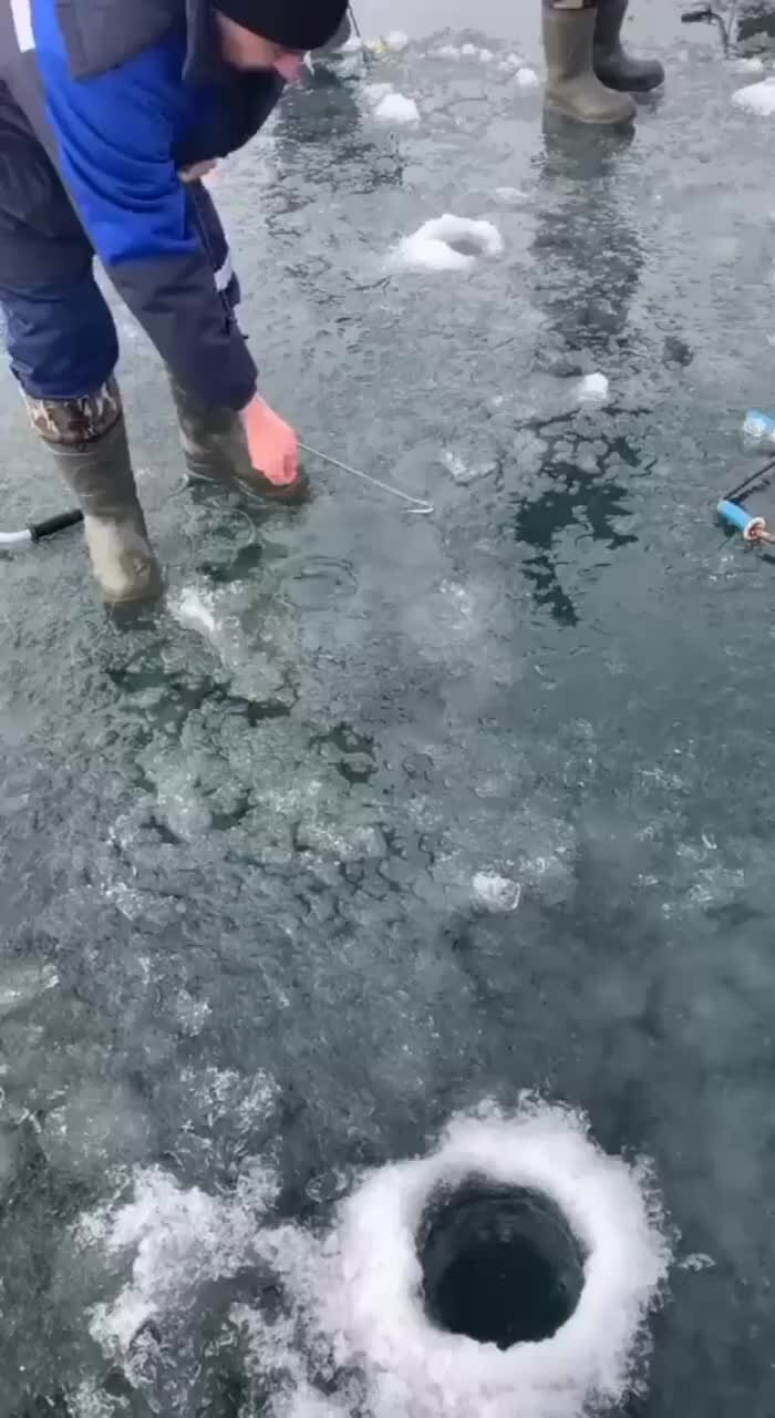 Чистый лед дзен