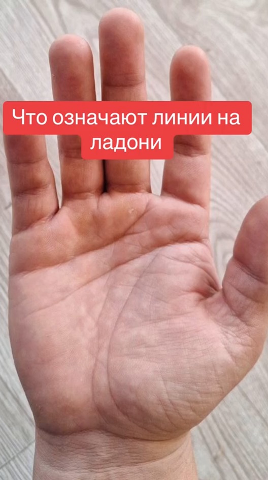 Что означает ладонь