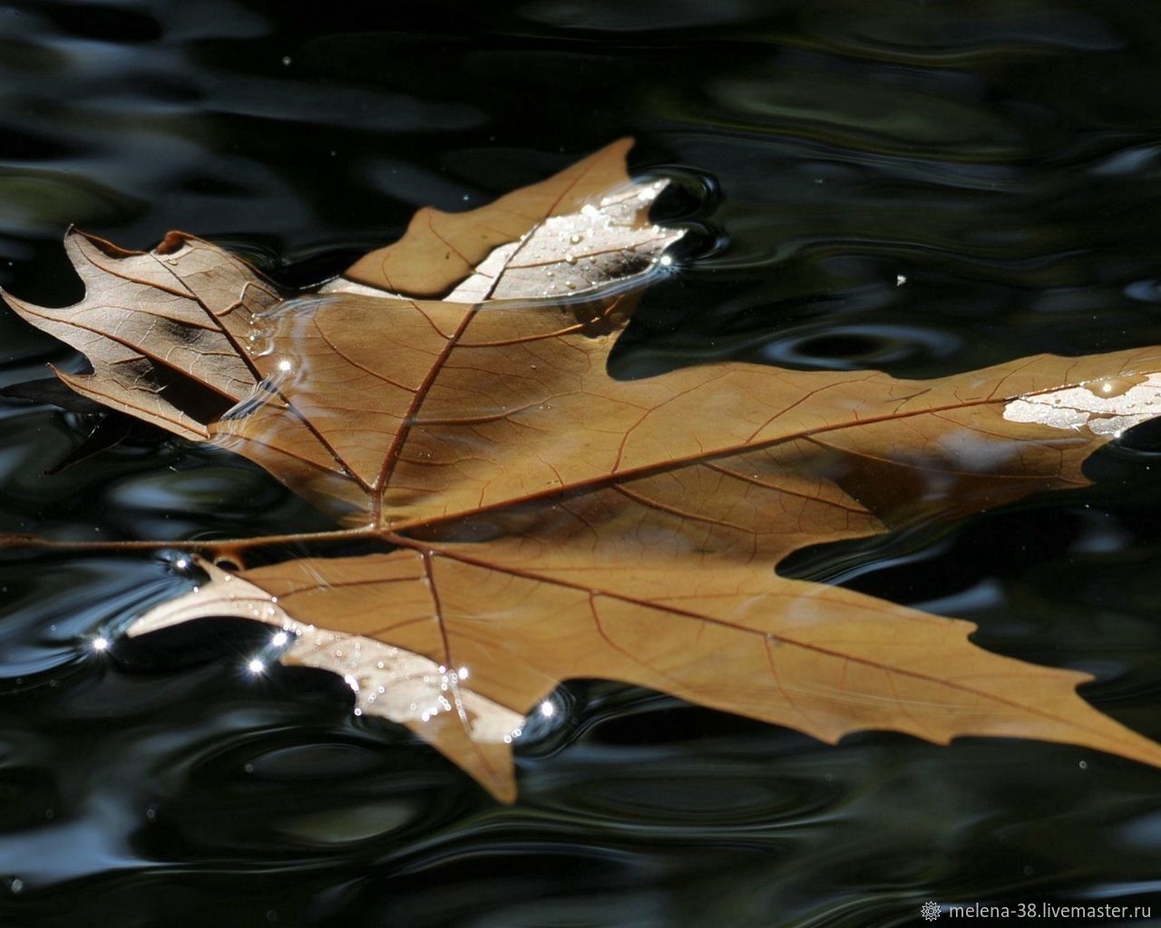 Джейн ортега семейка адамс. Невермор уэнсдей картинки. Вэнсдэй. Песня из уэнсдей. Уэнсдей сериал 2022.